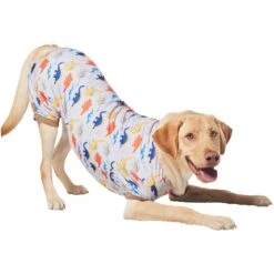 Frisco Dinosaur Dog & Cat Jersey PJs -Frisco 609062 PT4. AC SS1800 V1681488688