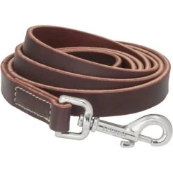 Frisco Top Grain Leather Leash + 4 Items 12 Frisco Top Grain Leather Leash + 4 Items -Frisco 630958 PT3. AC SS1800 V1662739527