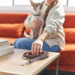 Frisco Top Grain Leather Leash + 4 Items 13 Frisco Top Grain Leather Leash + 4 Items -Frisco 630958 PT4. AC SS1800 V1662742186