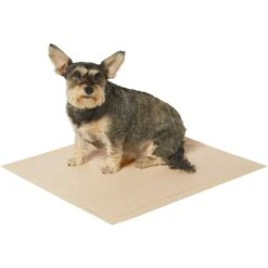 Frisco Large Eco-Conscious Dog Training & Potty Pads & American Journey Peanut Butter Recipe Grain-Free Oven Baked Crunchy Biscuit Dog Treats 12 Frisco Large Eco-Conscious Dog Training & Potty Pads & American Journey Peanut Butter Recipe Grain-Free Oven Baked Crunchy Biscuit Dog Treats -Frisco 678574 PT3. AC SS1800 V1667863365