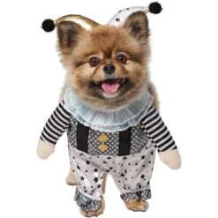Frisco Front Walking Glitter Clown Dog & Cat Costume -Frisco 707542 PT2. AC SS1800 V1689351699