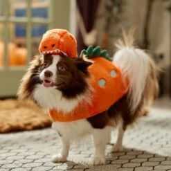 Frisco Furry Dinosaur Dog & Cat Costume 14 Frisco Furry Dinosaur Dog & Cat Costume -Frisco 708190 PT7. AC SS1800 V1689278373