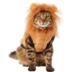 Frisco Lion Love Dog & Cat Costume -Frisco 708318 PT2. AC SS1800 V1689341486