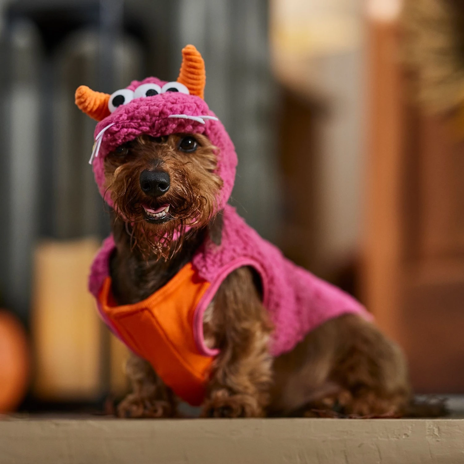 Frisco Zany Monster Dog & Cat Costume 7 Frisco Zany Monster Dog & Cat Costume - Image 7