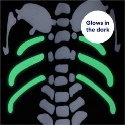 Frisco Glow In The Dark Skeleton Dog & Cat Costume -Frisco 709038 PT5. AC SS1800 V1689340910