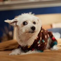 Frisco Cozy Plush Fleece Dog & Cat PJs, Mushrooms 14 Frisco Cozy Plush Fleece Dog & Cat PJs, Mushrooms -Frisco 718950 PT7. AC SS1800 V1692378098