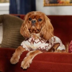 Frisco Fairisle Cozy Plush Fleece Dog & Cat PJs, Cream 14 Frisco Fairisle Cozy Plush Fleece Dog & Cat PJs, Cream -Frisco 719006 PT7. AC SS1800 V1692376367