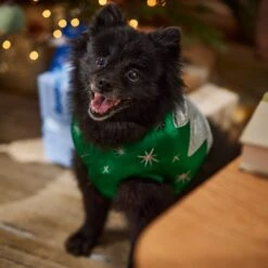 Frisco Ornament Dog & Cat Costume 14 Frisco Ornament Dog & Cat Costume -Frisco 745510 PT7. AC SS1800 V1694795535