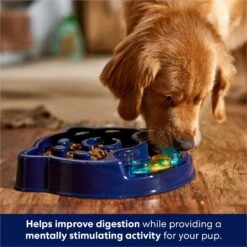 Frisco Interactive Dog Slow Feeder Bowl -Frisco 761238 PT2. AC SS1800 V1696254583