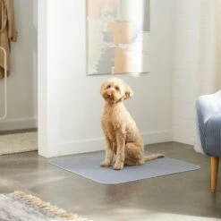 Skout's Honor Dog Pee Pad Refresher Spray, 28-oz Bottle & Frisco Washable Dog Potty Pads -Frisco 772958 PT8. AC SS1800 V1676752183