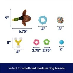 Frisco Forest Friends Plush, Rope & TPR Variety Pack Dog Toy 7 Frisco Forest Friends Plush, Rope & TPR Variety Pack Dog Toy -Frisco 843534 PT2. AC SS1800 V1693411070
