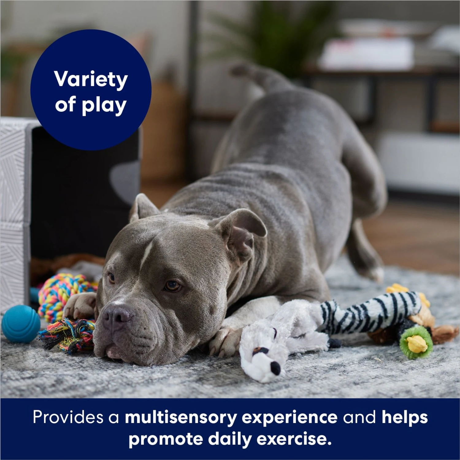 Frisco Forest Friends Plush, Rope & TPR Variety Pack Dog Toy 4 Frisco Forest Friends Plush, Rope & TPR Variety Pack Dog Toy - Image 4