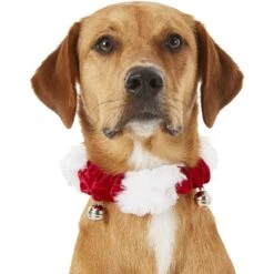Frisco Holiday Dog & Cat Santa Hat, 1 Count & Frisco Jingle Bells Dog & Cat Holiday Collar With Bells, 1 Count 16 Frisco Holiday Dog & Cat Santa Hat, 1 Count & Frisco Jingle Bells Dog & Cat Holiday Collar With Bells, 1 Count -Frisco 986254 PT7. AC SS1800 V1698258115