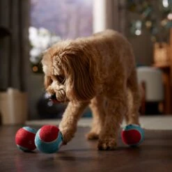 Frisco Holiday Ho Ho Ho Fetch Squeaky Tennis Ball Dog Toy & Frisco Holiday Arctic Friends Stuffing-Free Skinny Plush Squeaky Dog Toy 13 Frisco Holiday Ho Ho Ho Fetch Squeaky Tennis Ball Dog Toy & Frisco Holiday Arctic Friends Stuffing-Free Skinny Plush Squeaky Dog Toy -Frisco 986310 PT4. AC SS1800 V1698257790